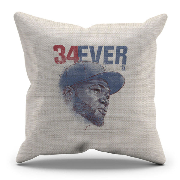 Throw Pillow White
